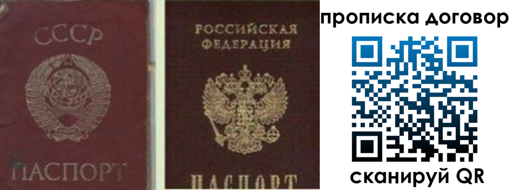 временная регистрация для школы в Вязниках